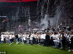 海登海姆vs法兰克福比赛分析