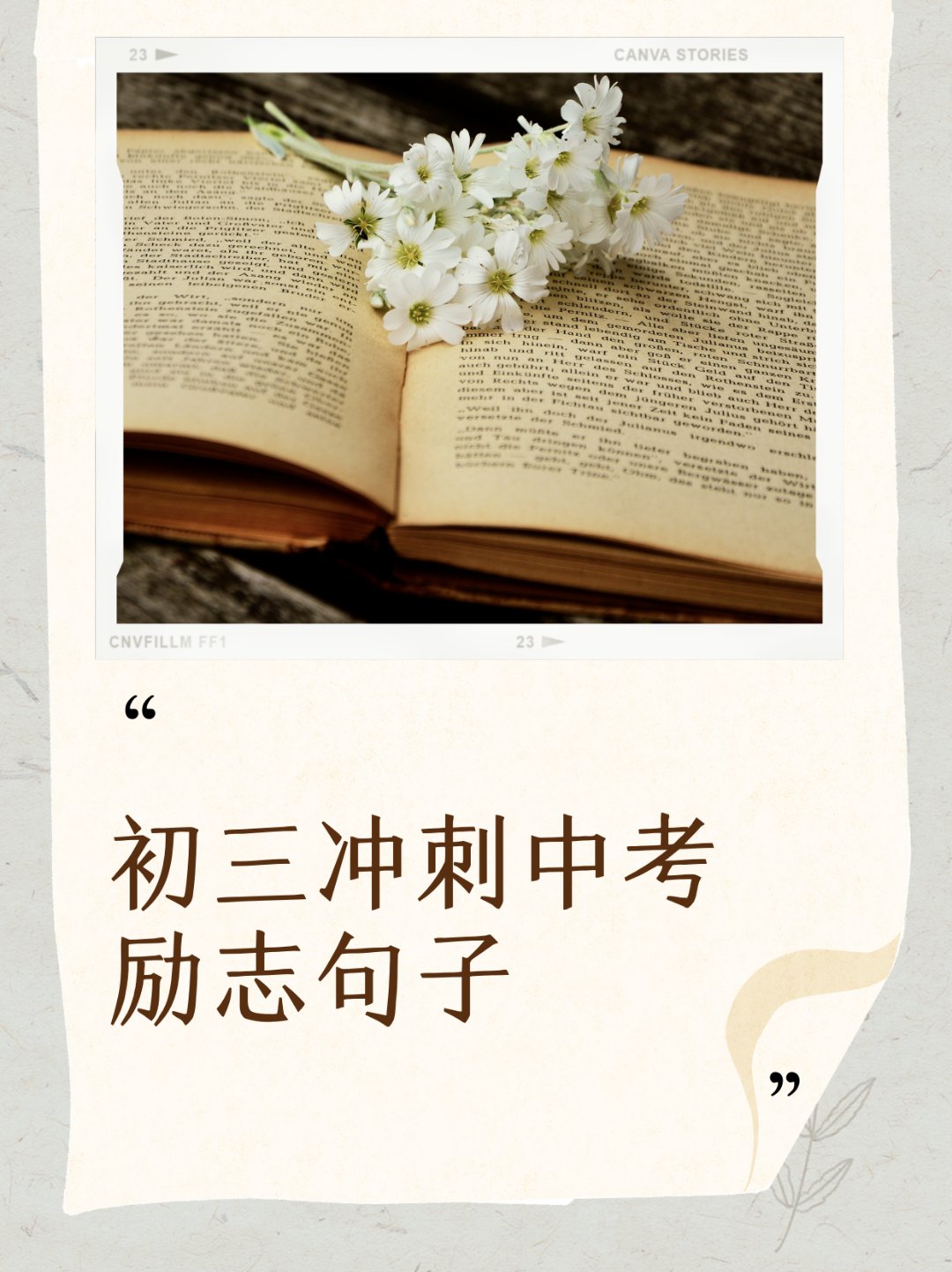 河北队对武汉队现场直播